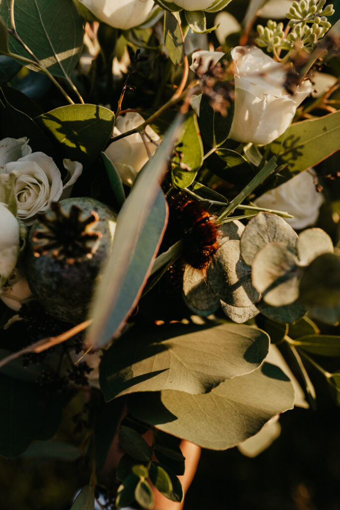 dekoracje ślubne bukiet ślubny kolorowe wesele sala weselna Gdańsk Sopot Gdynia Zielona Brama Przywidz