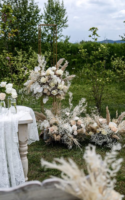 C2F83631-C8D2-4827-96E4-ED6E2BCC9141-10013-00000191440C8228